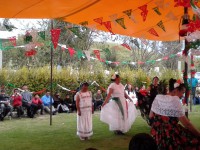 /album/festival-patrio/a20160910-182922-jpg1/