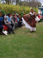 /album/festival-patrio/a20160910-183053-jpg1/