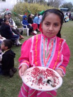 /album/festival-patrio/a20160910-184819-jpg1/