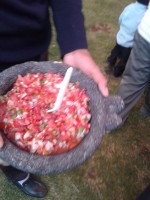 /album/festival-patrio/a20160910-191215-jpg1/