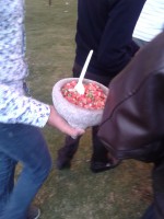 /album/festival-patrio/a20160910-191218-jpg1/